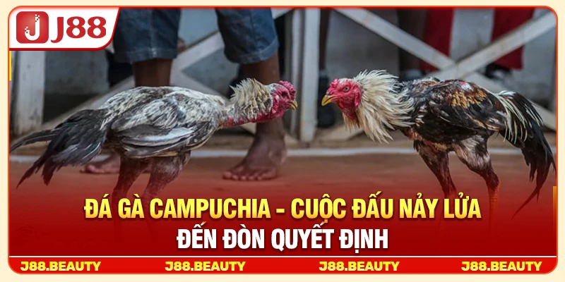 Đá Gà Campuchia